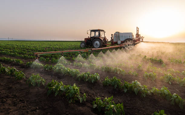 Best Pest Prevention Services  in Prairie Grove, AR
