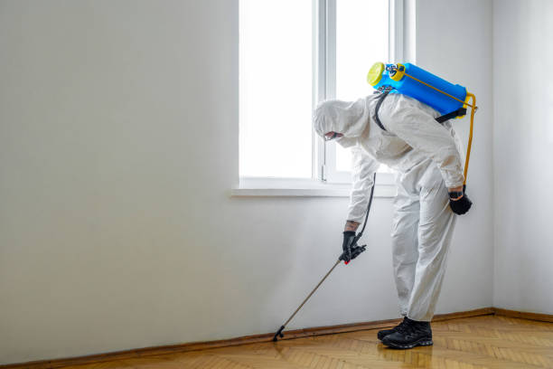 Best Best Pest Control Companies  in Prairie Grove, AR