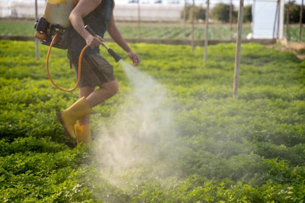 Best Pest Inspection Near Me  in Prairie Grove, AR