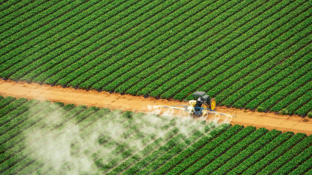 Best Pest Inspection Near Me  in Prairie Grove, AR