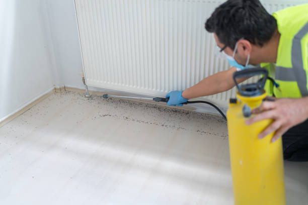 Best Exterminator Services  in Prairie Grove, AR