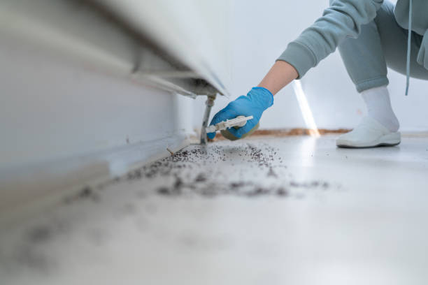 Best Insect Control  in Prairie Grove, AR