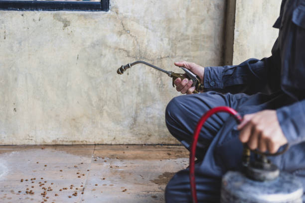 Best Pest Removal Services  in Prairie Grove, AR