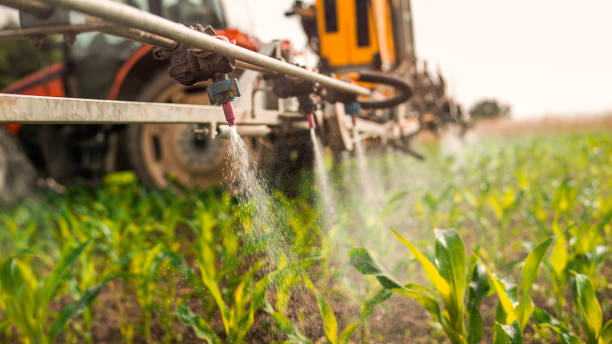Best Ant Control Services  in Prairie Grove, AR